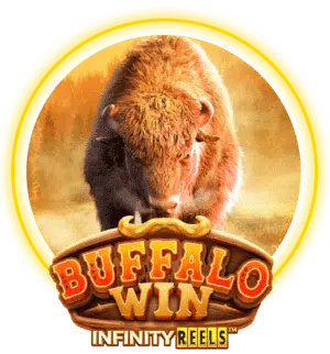 buffalo